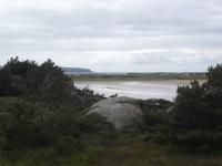 Landschaft 