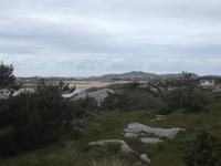 Landschaft 