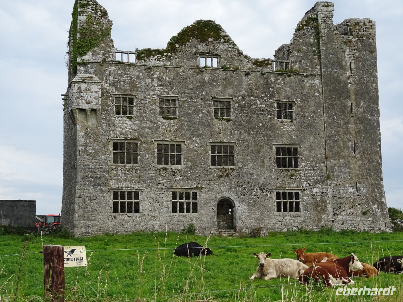 Lemaneagh Castle