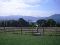 Lough Leane bei Killarney (Ring of Kerry)
