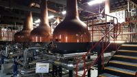Middleton Distillery