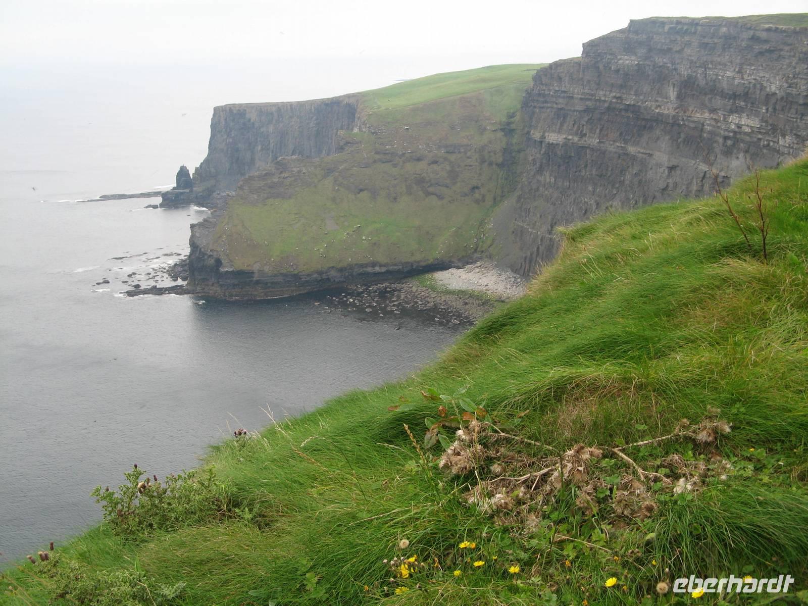 Moher