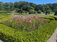 Muckross Gardens