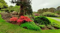 Muckross House and Gardens