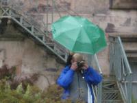 Muckross House