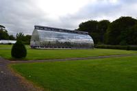 Muckross Park, Killarney National Park