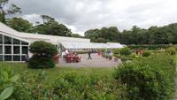 Muckross Park