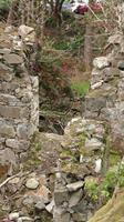 Natur und alte Mauern
