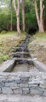Naturaufnahmen bei der Kylemore Abbey
