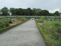 Phoenix Park