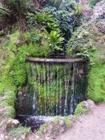Powerscourt Gardens 1
