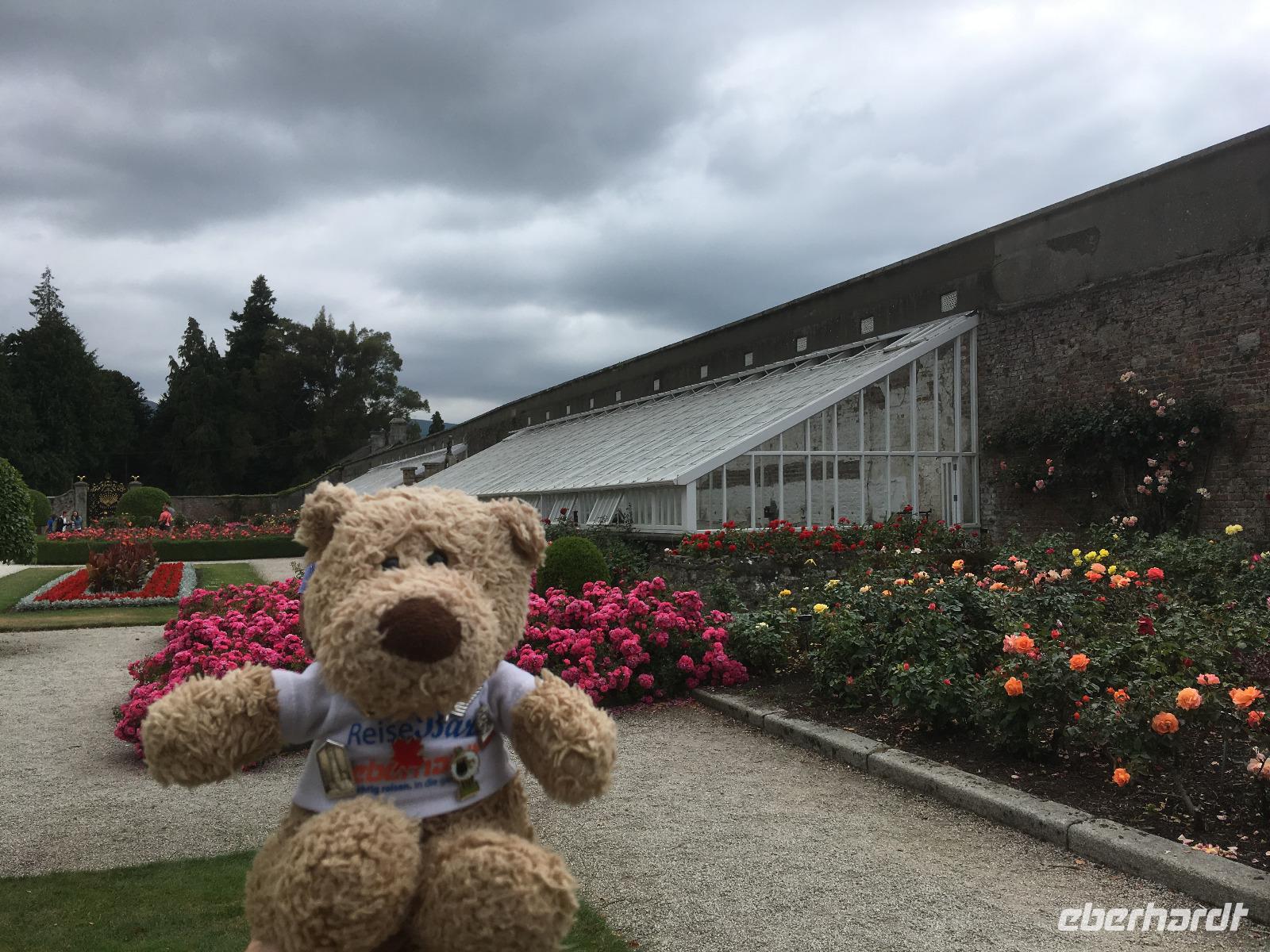 Powerscourt Gardens