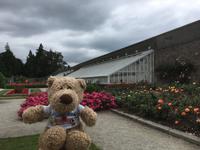 Powerscourt Gardens