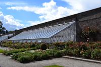 Powerscourt Gardens