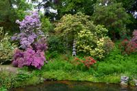 Powerscourt Gardens