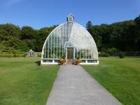 Ring of Kerry - Muckross Park