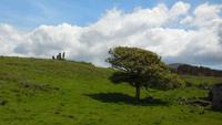 Ring of Kerry Waterville