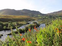 Ring of Kerry