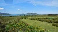 Ring of Kerry