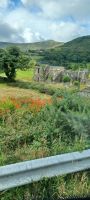 Ruine des Geburtshauses von Daniel O`Connell