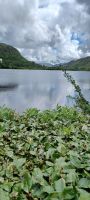 See vor der Kylemore Abbey