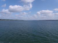 Shannon River 1