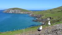 Slea Head Drive
