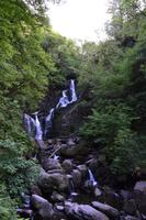 Spaziergang vom Torc Waterfall zum Muckross House