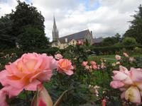St.John in Tralee
