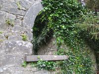 Stilleben in Cong