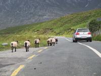 Straßenszene am Loch Inagh