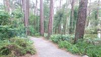 Swiss walk im Nationalpark