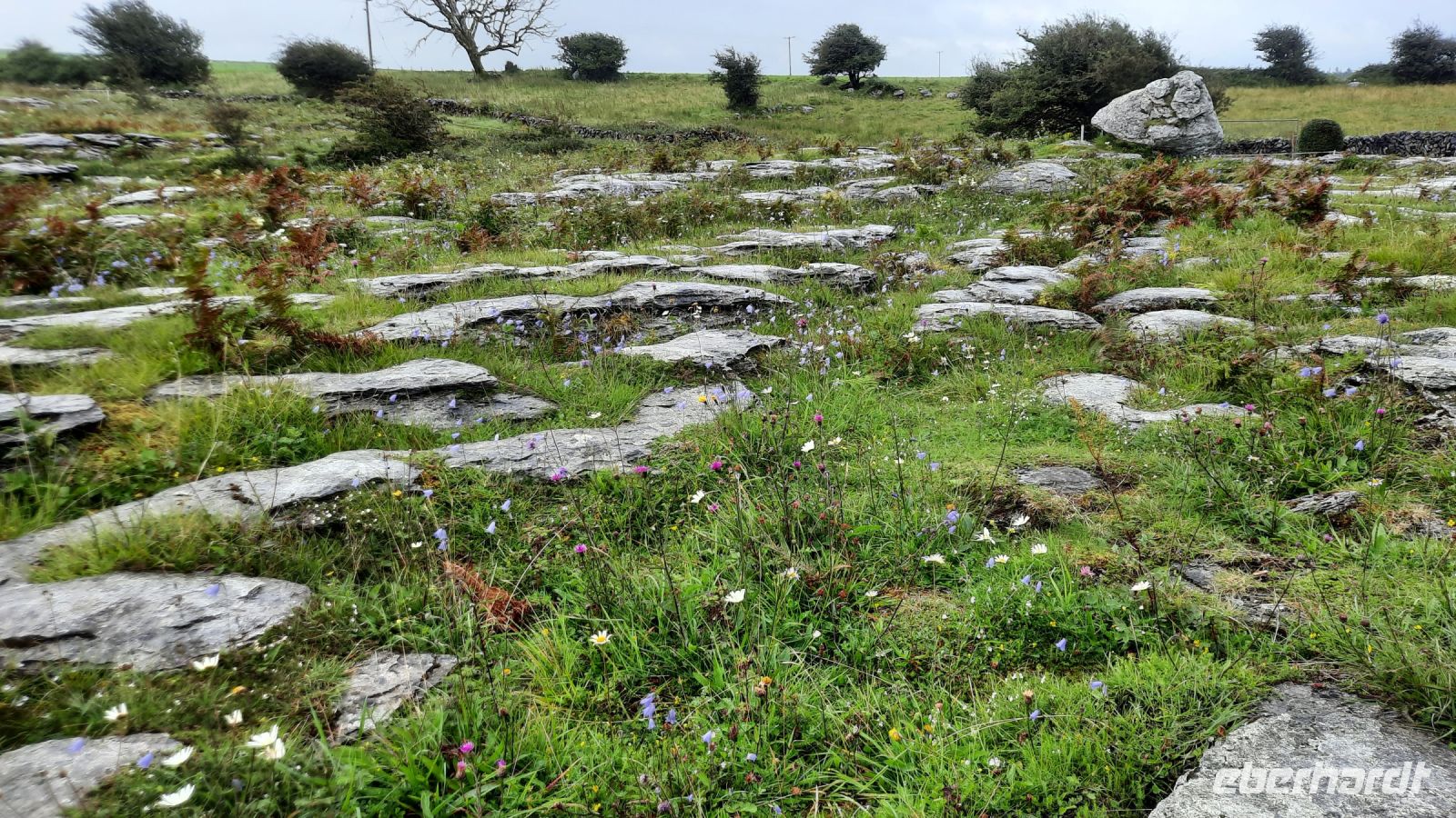 The Burren