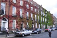 The doors of Dublin