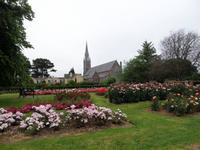 Tralee Rosengarten