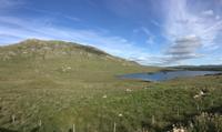 Wanderung auf den Aran Islands - Rückfahrt durch Connemara