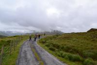 Wanderung entlang des Killary Harbour