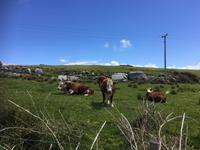 Wanderung im Burren