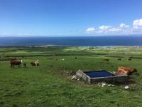Wanderung im Burren