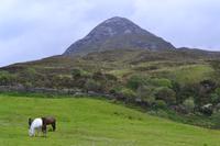 Wanderung im Connemara-Nationalpark