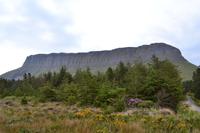 Wanderung unterhalb des Ben Bulben