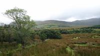 Weite Sicht in Connemara