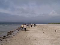 am Strand von Narin