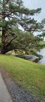 an der Kylemore Abbey