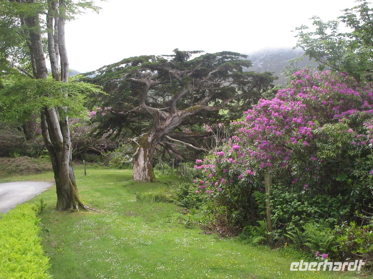  Kylemore Abbey 1