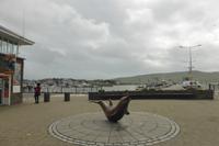 020-Dingle_Fungie
