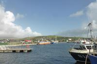 025-Dingle
