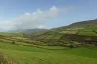 026-Dingle