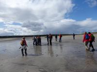 Am Strand nahe Dingle