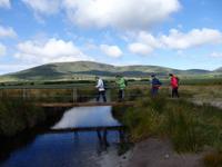 ganz schmal ist die Brücke nur